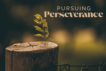 Pursuing Perseverance