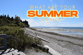 What Are Your Summer Plans?