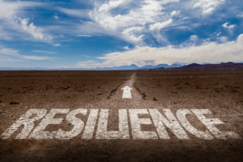 Resilience, Part 1
